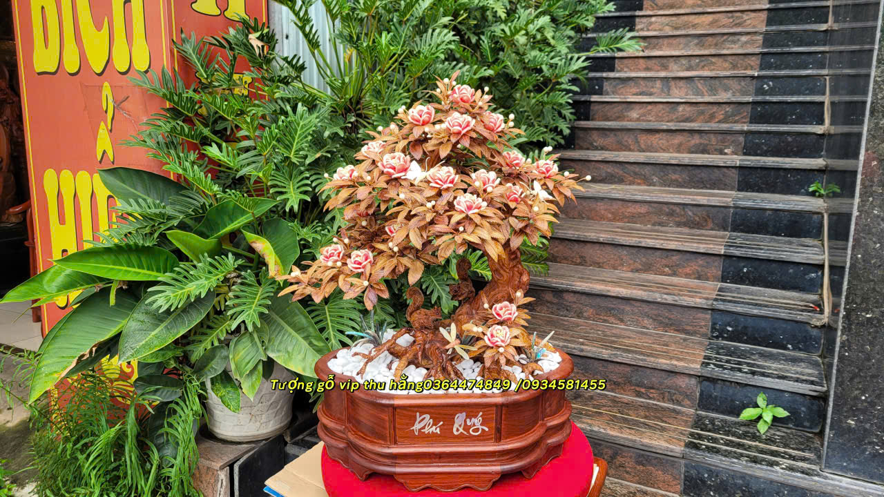 đọc lạ nghệ thuật điêu khắc gỗ cây bonsai gỗ sưa